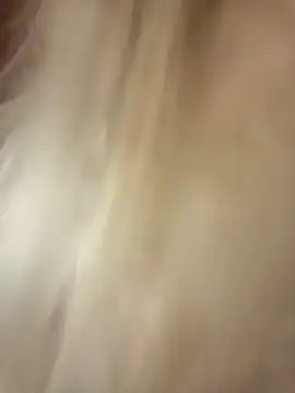 Snapshot of -RIVIERA- chatting on February 11, 2025, 4:35 pm -RIVIERA- online show from February 11, 2025, 4:35 pm