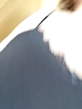 Snapshot of _BaHaR_ chatting on September 10, 2025, 8:58 am BaHaR online show from September 10, 2025, 8:58 am