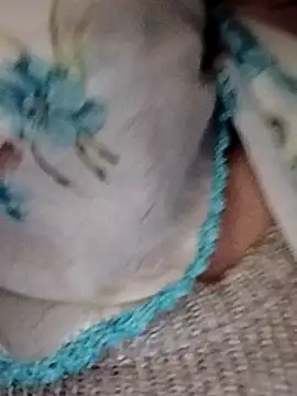 Snapshot of _BaHaR_ chatting on September 21, 2025, 8:16 am BaHaR online show from September 21, 2025, 8:16 am