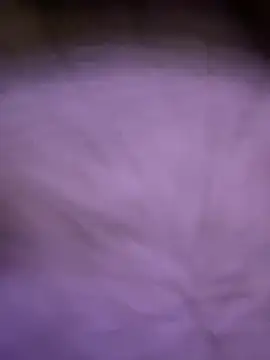 Snapshot of bigdickturk11 chatting on May 10, 2026, 7:41 pm bigdickturk11 online show from May 10, 2026, 7:41 pm