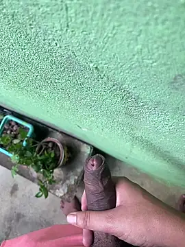 king cum  online show from December 26, 2024, 12:16 pm