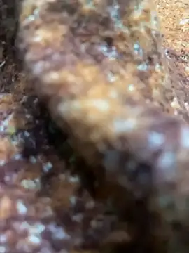 king cum  online show from February 13, 2025, 10:44 am