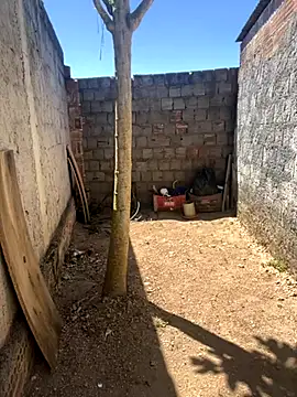 king cum  online show from November 5, 2025, 12:05 pm