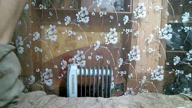 DennisXCaroll online show from February 14, 2025, 6:19 pm