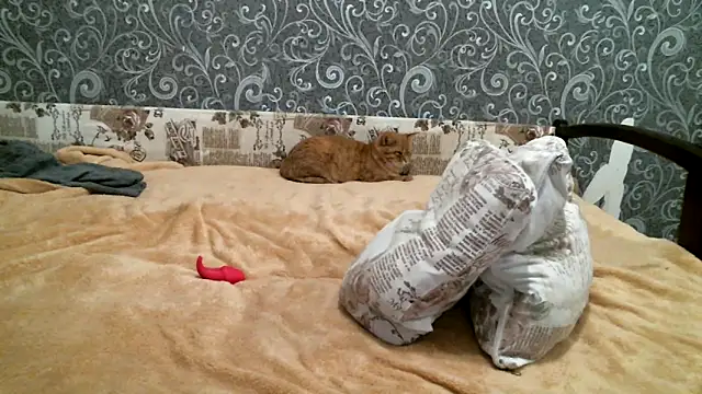 DennisXCaroll online show from February 19, 2025, 5:27 pm