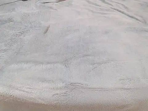 Tequila Bby online show from December 18, 2024, 6:10 am