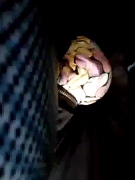 Policeman20742 online show from February 25, 2025, 6:09 pm