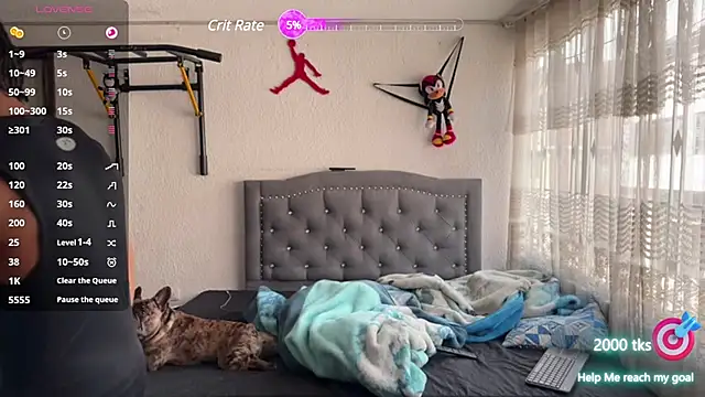 jokergc 2 online show from March 17, 2025, 8:19 pm