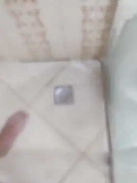 carvalhesco online show from December 16, 2025, 3:33 am