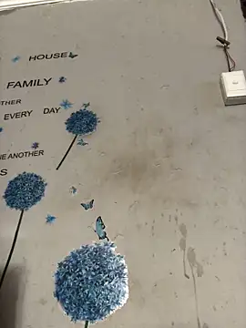 DiamondGoddes online show from January 14, 2025, 7:38 am