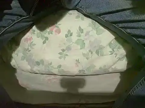 Tiger202441 online show from January 12, 2025, 4:08 pm