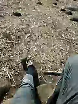 murokkk31 online show from December 3, 2024, 8:38 am