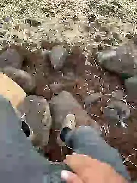 murokkk31 online show from December 11, 2024, 12:23 pm