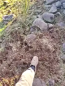 murokkk31 online show from December 16, 2025, 12:21 pm