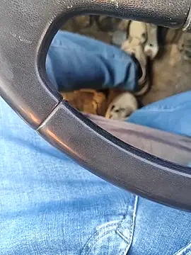 murokkk31 online show from January 8, 2026, 8:27 am