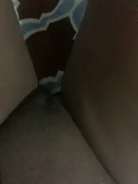 Snapshot of WyvaxxNikkie chatting on January 23, 2025, 5:31 pm WyvaxxNikkie online show from January 23, 2025, 5:31 pm