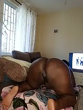 laviedavi online show from May 13, 2026, 10:56 am