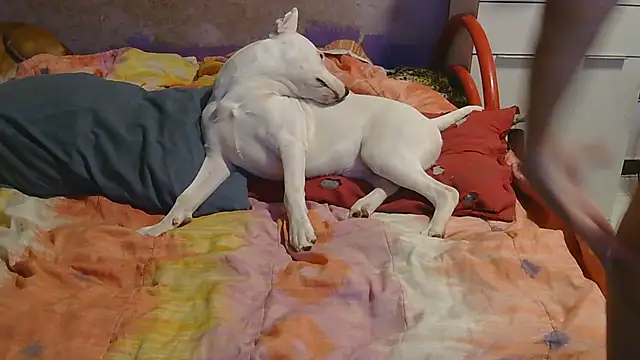 Snapshot of couplemilf2 chatting on December 6, 2024, 11:25 pm couplemilf2 online show from December 6, 2024, 11:25 pm