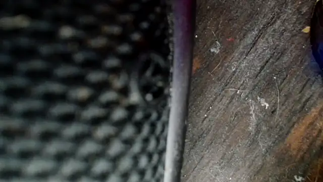 Snapshot of Gigadickman chatting on December 2, 2024, 8:33 pm Gigadickman online show from December 2, 2024, 8:33 pm