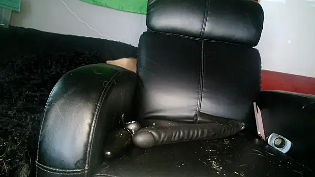 Snapshot of Gigadickman chatting on December 5, 2024, 1:49 pm Gigadickman online show from December 5, 2024, 1:49 pm