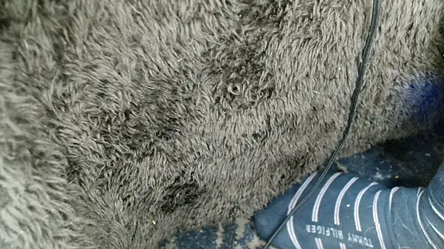 Snapshot of Gigadickman chatting on December 13, 2024, 9:02 am Gigadickman online show from December 13, 2024, 9:02 am