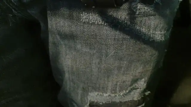 Snapshot of Gigadickman chatting on January 2, 2025, 4:02 pm Gigadickman online show from January 2, 2025, 4:02 pm