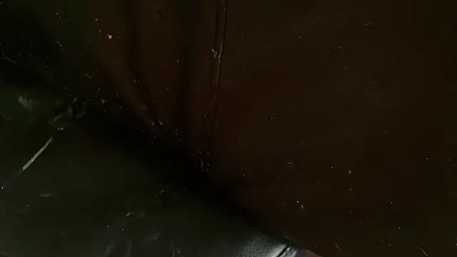 Snapshot of Gigadickman chatting on January 2, 2025, 10:11 pm Gigadickman online show from January 2, 2025, 10:11 pm