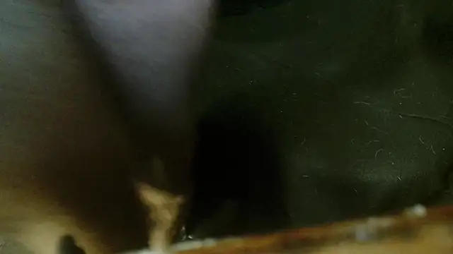 Snapshot of Gigadickman chatting on October 4, 2025, 2:31 am Gigadickman online show from October 4, 2025, 2:31 am