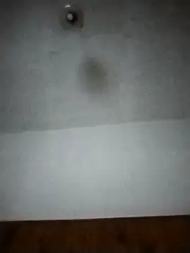 Xtrem3HARDxxx online show from December 12, 2024, 6:14 am