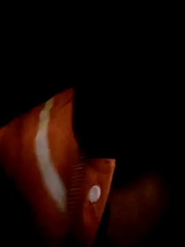 ale3J4a online show from February 2, 2025, 6:48 am