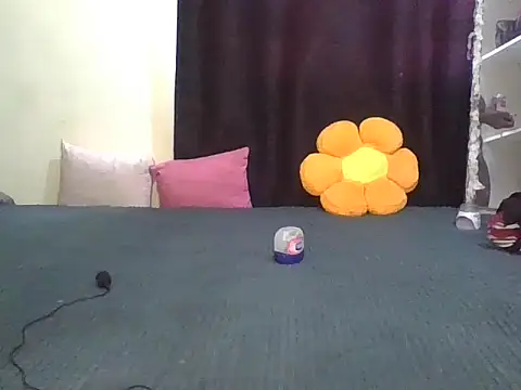 wildnastia online show from April 6, 2026, 4:57 am