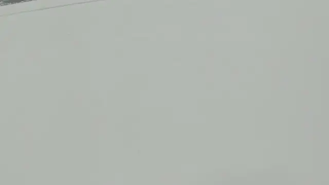 Littleolivia  online show from February 4, 2025, 12:55 pm