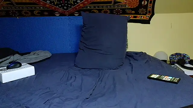 Spacecase2021 online show from January 7, 2025, 11:58 am