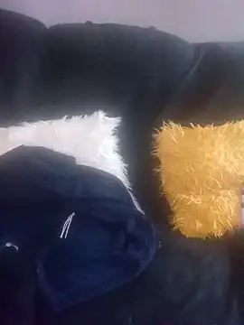 amarrabrown2024 online show from March 17, 2025, 7:13 am