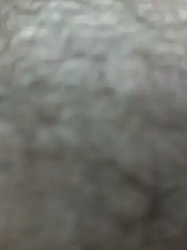 bigdickdaddy2184 online show from March 30, 2026, 10:33 pm