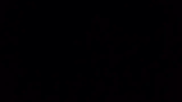 Ken-boy  online show from October 20, 2025, 11:43 am