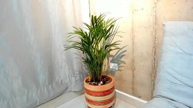 Snapshot of Alan_greek_1 chatting on January 31, 2025, 1:33 am Alan greek 1 online show from January 31, 2025, 1:33 am