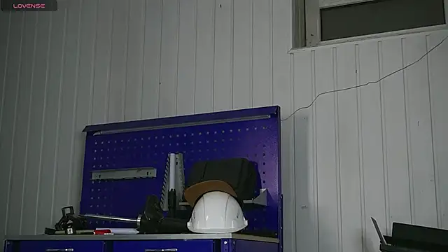 Snapshot of dustyn_fox chatting on January 17, 2026, 3:17 pm dustyn fox online show from January 17, 2026, 3:17 pm