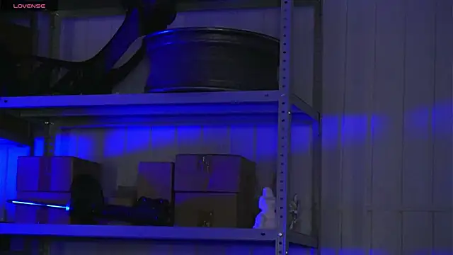 dustyn fox online show from March 17, 2026, 3:04 pm