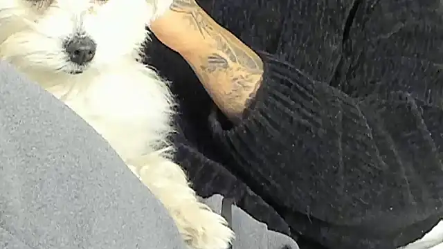 Ama music online show from December 17, 2024, 8:21 pm