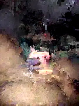 Zenfox24 online show from April 7, 2026, 11:43 am