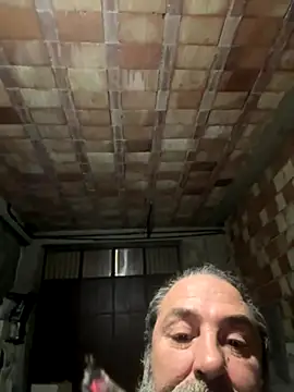 ros217 online show from November 11, 2025, 9:26 pm