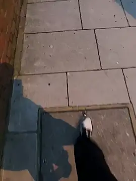 XMenX24 online show from March 22, 2025, 6:36 pm