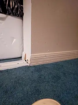 Snapshot of jorwee chatting on January 27, 2025, 8:17 pm jorwee online show from January 27, 2025, 8:17 pm