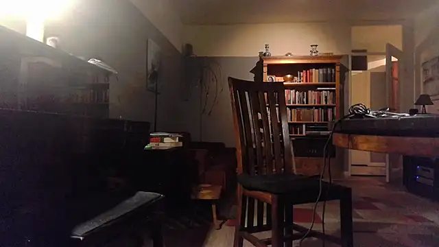 Snapshot of RolfS chatting on October 6, 2025, 10:18 pm RolfS online show from October 6, 2025, 10:18 pm