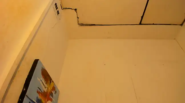 janestones online show from January 12, 2025, 9:19 am