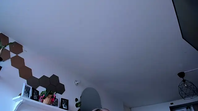 evy orange1 online show from March 5, 2026, 12:12 pm