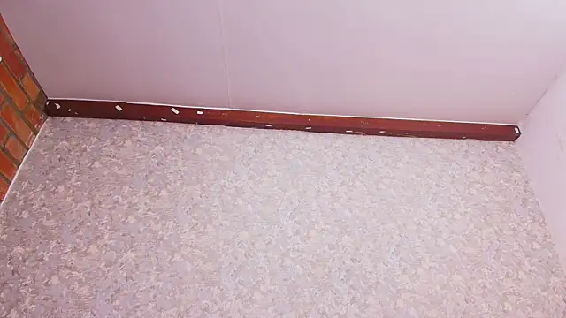 nicol f online show from December 28, 2024, 7:33 pm