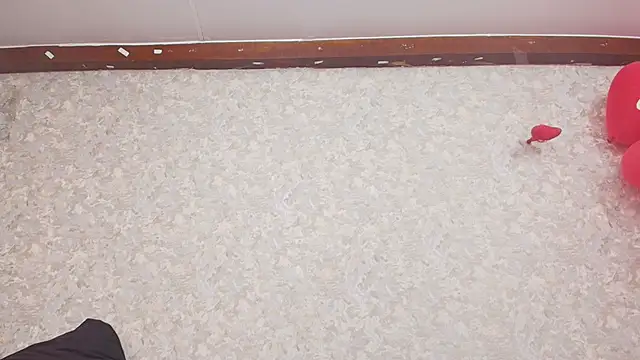 nicol f online show from February 15, 2025, 7:17 pm