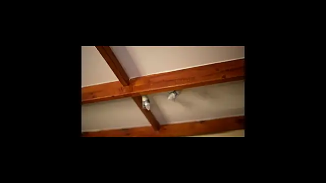 Bellis Perenis online show from February 26, 2026, 9:30 am